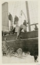 Image of Hoisting seal over rail of the Roosevelt